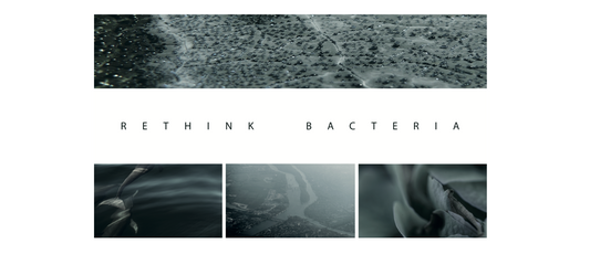 Konstprojektet Rethink Bacteria